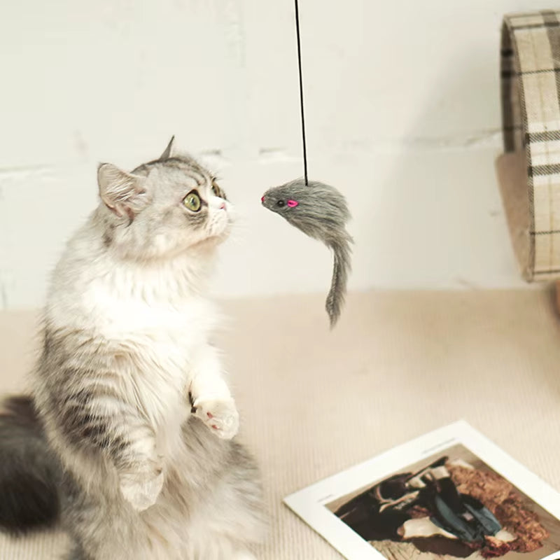 Interactive Cat Toy Hanging Clip Door Plush Mouse Self-Hi Hanging Door Elastic Funny Cat Toy Juguetes Para Gatos Rascador Gato